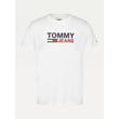 Tommy Hilfiger DM0DM07843 YBR Fehér színű férfi póló Tommy Hilfiger DM0DM07843 YBR Fehér színű férfi póló