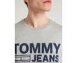 Tommy Hilfiger Denim DM0DM02192 038 Szürke férfi kerek nyakú póló