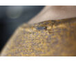Antony Morato MMKS00146 FA8002 Férfi átlátszó barna póló