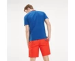Tommy Hilfiger DM0DM06022 434 Férfi regular fit galléros kék piké póló