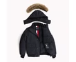 Tommy Hilfiger MW0MW08246 403 Férfi télikabát